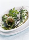 Closeup view of sardine Carpaccio with herbs — Stock Photo