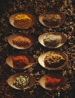 Seleção de especiarias em placas marrons sobre ervas — Fotografia de Stock