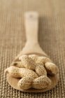 Holzlöffel mit Erdnüssen — Stockfoto