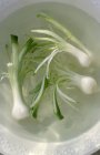 Cipolle di primavera in acqua — Foto stock
