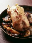 Жареная утка с грушами — стоковое фото