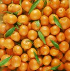 Laranjas de mandarim frescas — Fotografia de Stock