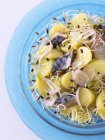 Fenchelsprossen-Salat — Stockfoto