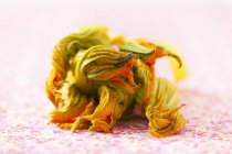 Frische Zucchini-Blüten — Stockfoto