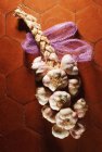 String of dried garlic — Stock Photo