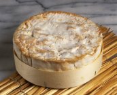 Сыр в круглой форме — стоковое фото