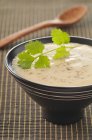 Суп из кокосового молока в миске — стоковое фото