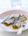 Plate of sardines in oil — Stock Photo
