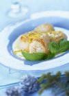 Closeup view of scallops with citrus fruit zest and leaves — Stock Photo