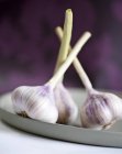 Heads of fresh garlic — Stock Photo
