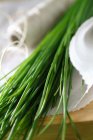 Erba cipollina verde fresca — Foto stock