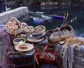 Vista diurna de langostas, cangrejos y mariscos capturados con redes en la orilla del río - foto de stock
