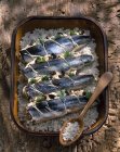 Сырые фаршированные сардины — стоковое фото