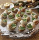 Tray of snails with parsley — Stock Photo