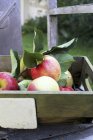 Manzanas frescas en caja - foto de stock