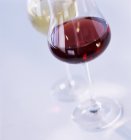 Vino rosso e bianco — Foto stock