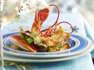 Lobster with littleneck clams — Stock Photo