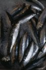 Petits anchois en tas avec du sel — Photo de stock
