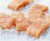 Trozos crudos de salmón - foto de stock
