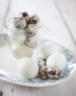 White chicken and quail eggs — Stock Photo