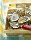 Crate of fresh oysters — Stock Photo