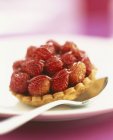 Tartelette aux fraises sauvages — Photo de stock