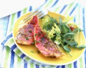 Filet von Surbarlet und Salat auf Teller — Stockfoto