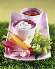 Légumes crus et trempettes dans des pots sur assiette rose sur herbe — Photo de stock