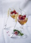 Summer fruit cocktail — Stock Photo