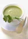 Crema refrigerata di lattuga e zuppa di erbe — Foto stock