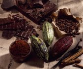 Haricots et coquilles de cacao — Photo de stock