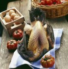 Raw guinea-fowl — Stock Photo