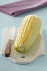 Raw corn on cob — Stock Photo