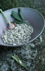Haricots blancs dans un bol gris — Photo de stock