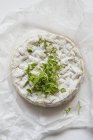 Camembert with fresh thyme — Stock Photo