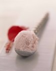 Griechisches Joghurt-Hibiskusblüten-Eis — Stockfoto