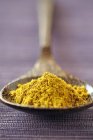 Spoonful of curry powder — Stock Photo
