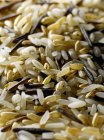 Смешанный сырой рис — стоковое фото