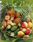 Korb mit exotischen Früchten — Stockfoto