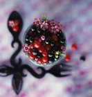 Крупним планом вид зверху на різні ягоди і квіти в чашці — стокове фото