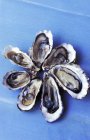 Frische Austern mit Schalen — Stockfoto