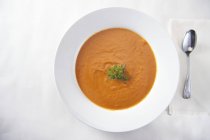 Pumpkin spice soup — Stock Photo
