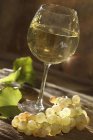 Белое бургундское вино — стоковое фото