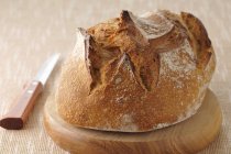 Pain de ferme de pain — Photo de stock