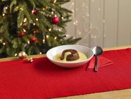 Budino di Natale con crema pasticcera — Foto stock