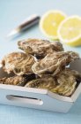 Fresh Closed oysters with halved lemon — Stock Photo