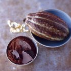 Chocolat et fève de cacao — Photo de stock