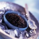 Tigela de caviar beluga — Fotografia de Stock