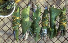 Sardines enveloppées dans des feuilles de vigne — Photo de stock