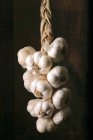 Braid of dried garlic — Stock Photo